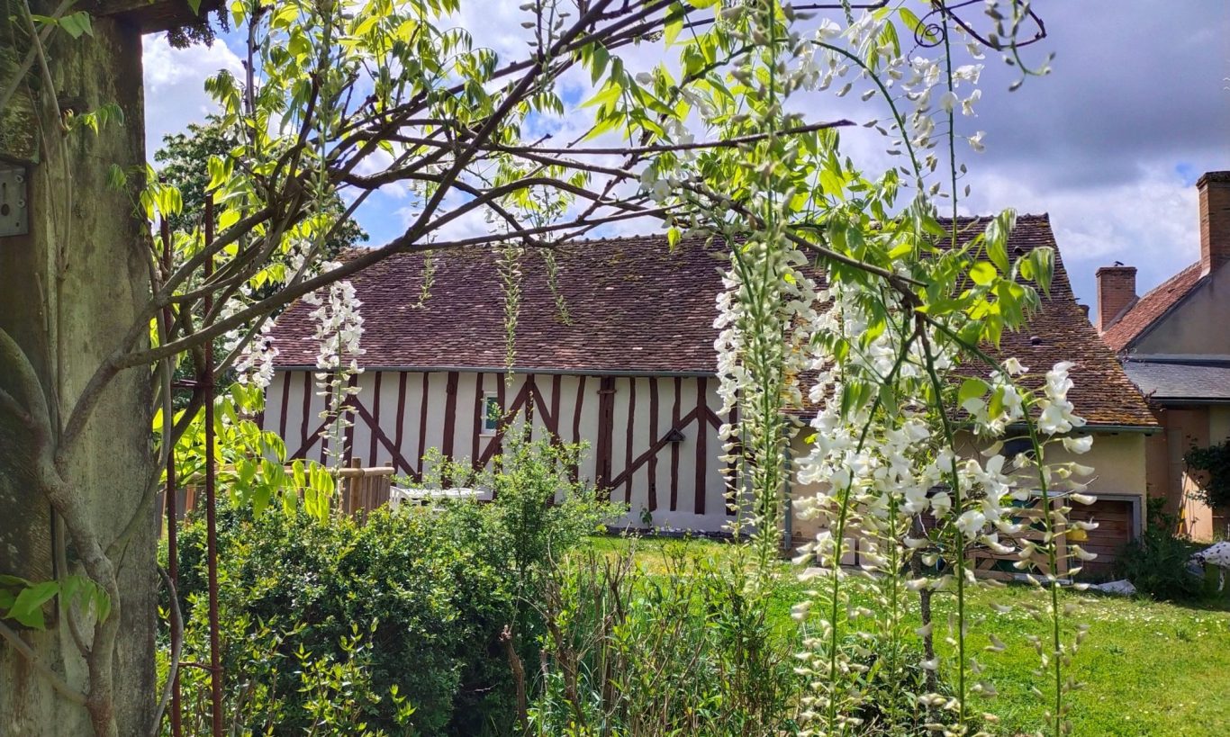 Le calme et la sérénité de l'environnement Le calme et la sérénité de l'environnement