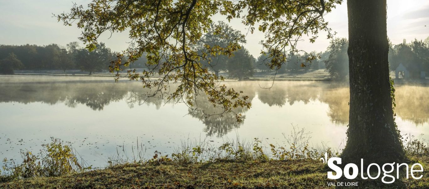Un étang, patrimoine naturel en Sologne Un étang, patrimoine naturel en Sologne